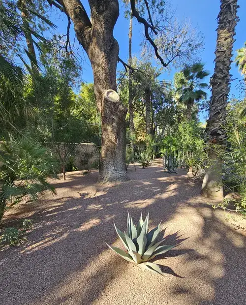 A garden path in Marrakesh, Morocco